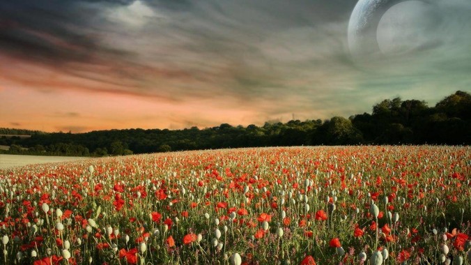 Rust 未来会成为主流的编程语言吗？